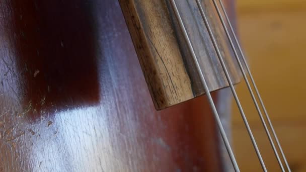 Cool vieux violon basse à une maison — Video