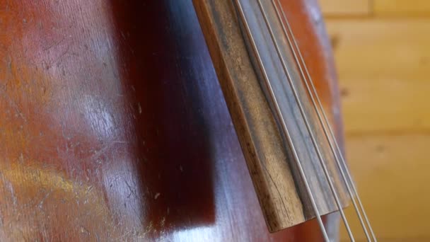 Cool vieux violon basse dans une maison — Video