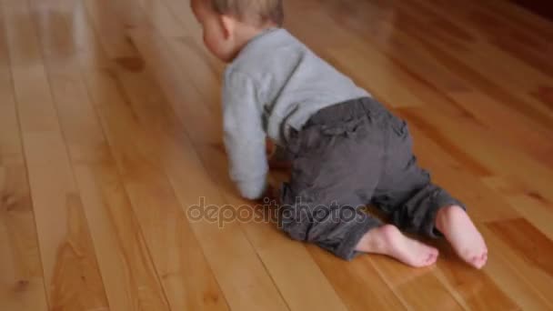 Pojke som letar påskägg i hem — Stockvideo