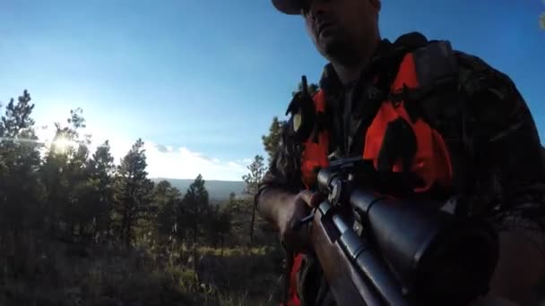 Cacciatore cammina attraverso il bosco con fucile — Video Stock