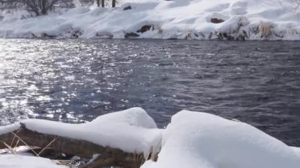 雪に覆われた冬景色のドリー ショット — ストック動画