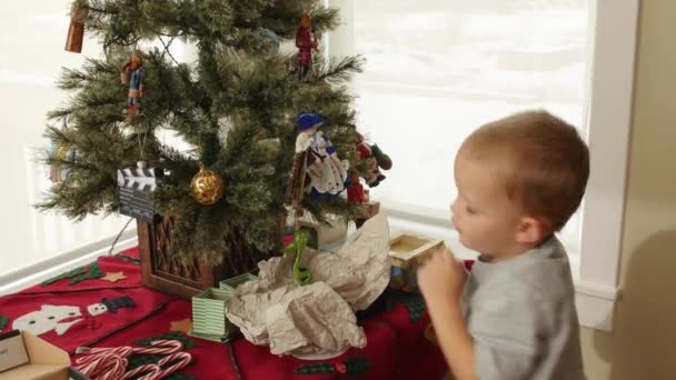 Familia estableciendo un pequeño árbol de navidad — Vídeos de Stock