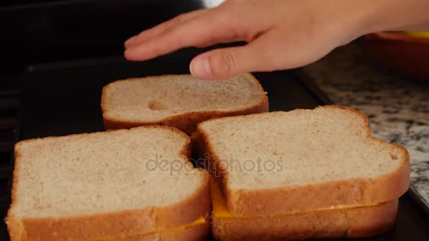 Donna che cucina panini al formaggio alla griglia — Video Stock