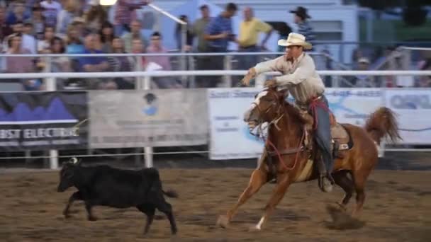 Kovboy Prca rodeo olay — Stok video