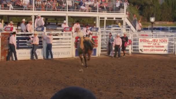 Cowhoy riding on saddle bronc — Stock Video