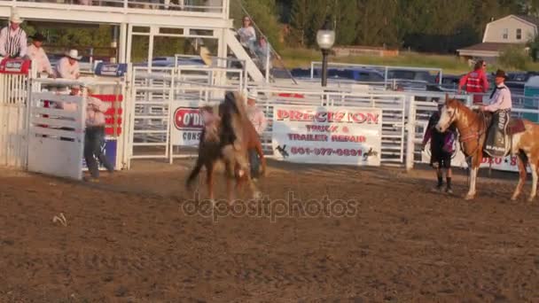 Cowhoy riding on saddle bronc — Stock Video