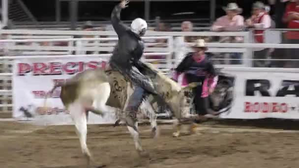 Cowhoy riding saddle bronc — Stock Video