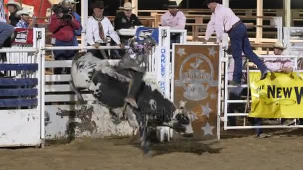 Cowhoy paardrijden zadel bronc — Stockvideo