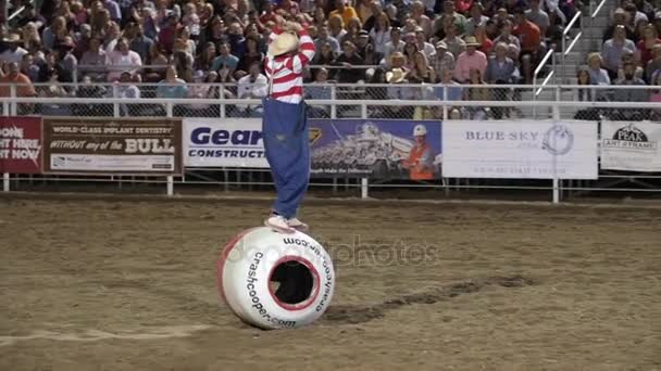 Rodeoclown beim prca oakley rodeo — Stockvideo