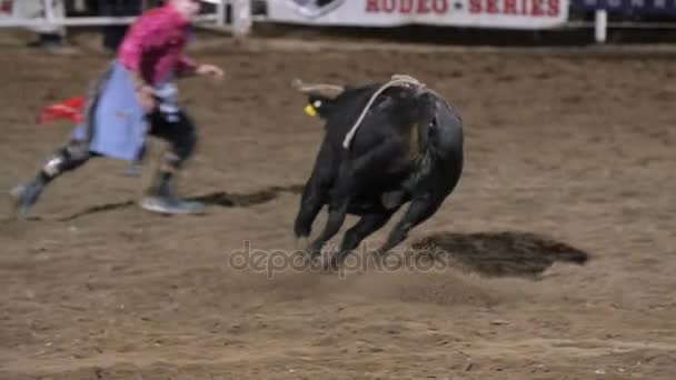 Клоун родео уклоняется от гигантского быка — стоковое видео