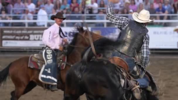 Cowhoy equitação em sela bronc — Vídeo de Stock