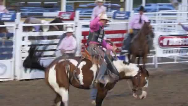 Saddle bronc at a PRCA Oakley rodeo — Stock Video