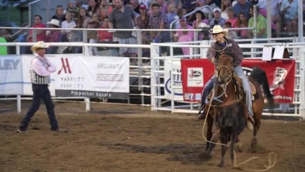 Cowboy-Rodeo-Veranstaltung — Stockvideo
