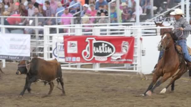 Cowboy Prca rodeo zdarzenie — Wideo stockowe