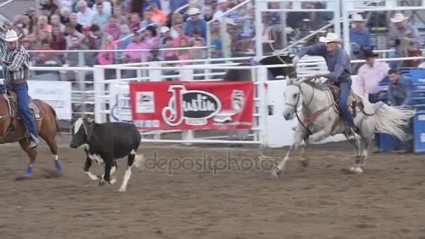 Cowboy Prca rodeo zdarzenie — Wideo stockowe