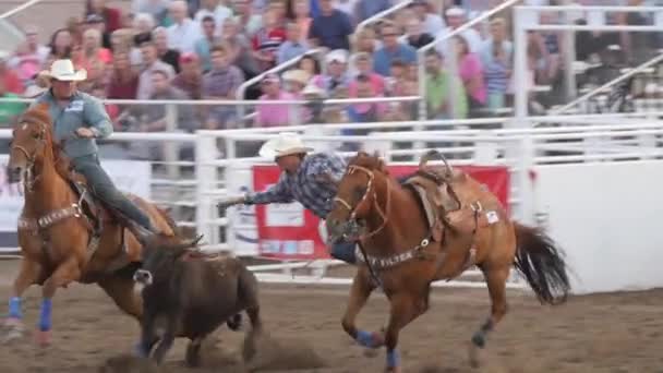 Cowboy PRCA rodeo evento — Vídeo de Stock