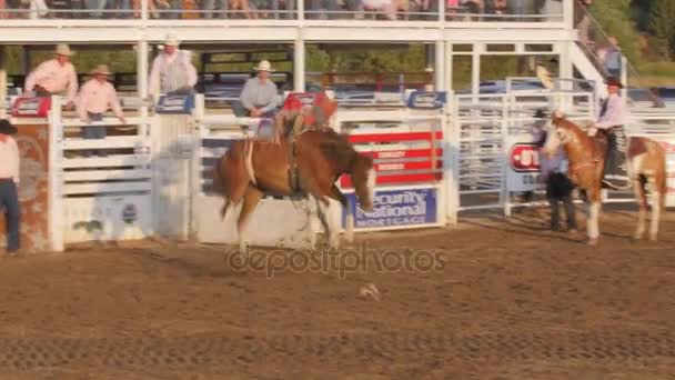 Cowhoy equitação em sela bronc — Vídeo de Stock