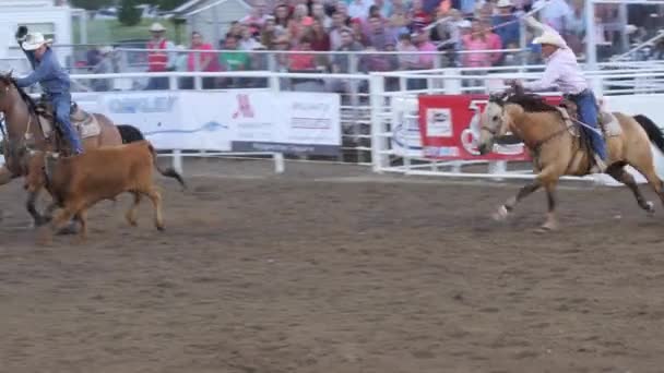 Cowboy PRCA rodeo event — Stock Video