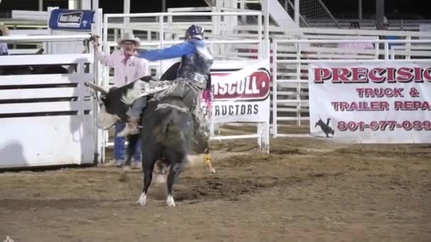Cowhoy ridning sadel bronc — Stockvideo