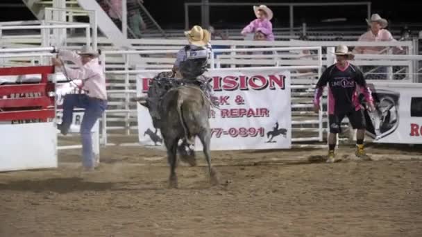 Cowhoy ridning sadel bronc — Stockvideo