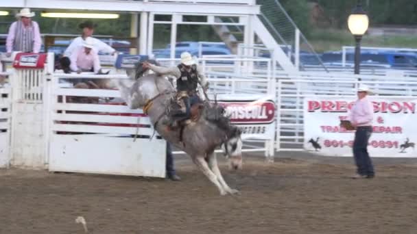 Cowhoy riding on saddle bronc — Stock Video