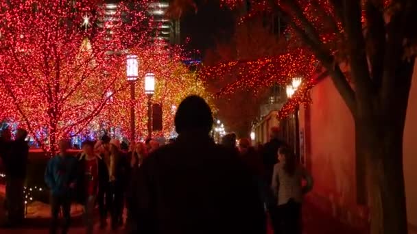 Une Famille Regarde Les Lumières Noël Sur Place Temple Salt — Video