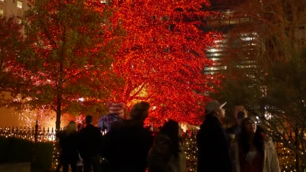 在盐湖城的神殿广场上的圣诞灯看来 一个家庭 — 图库视频影像