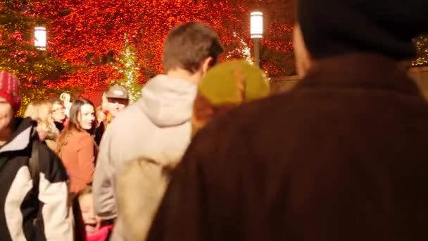 在盐湖城的神殿广场上的圣诞灯看来 一个家庭 — 图库视频影像