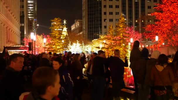 Een Familie Kijkt Naar Kerstverlichting Temple Square Salt Lake City — Stockvideo