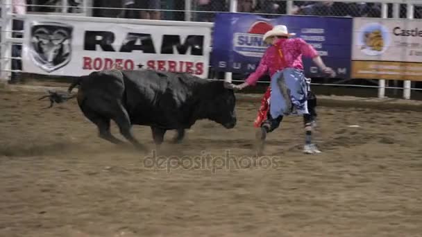 Rodeo clown plaagt reus stier — Stockvideo