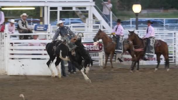 Cowhoy riding on saddle bronc — Stock Video