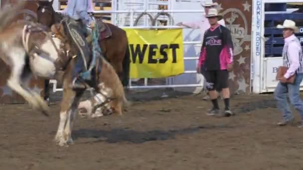 Cowhoy riding on saddle bronc — Stock Video