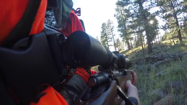 Hunter trzyma karabin i spacery po lesie — Wideo stockowe