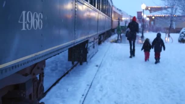 Familia va en un viaje en tren de Navidad por la noche — Vídeo de stock