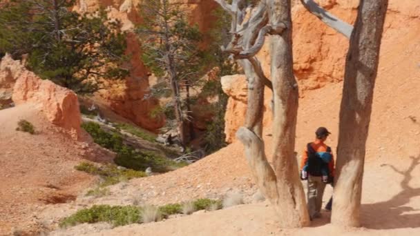 Aile hoodoos Bryce Canyon Milli Parkı'nda hiking — Stok video