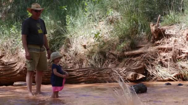 Gezinnen spelen in een woestijn rivier — Stockvideo