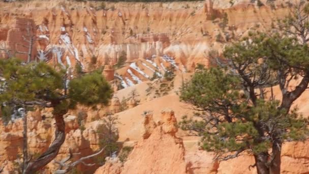 Rodina vidět skalní útvary v Bryce Canyon National Park — Stock video