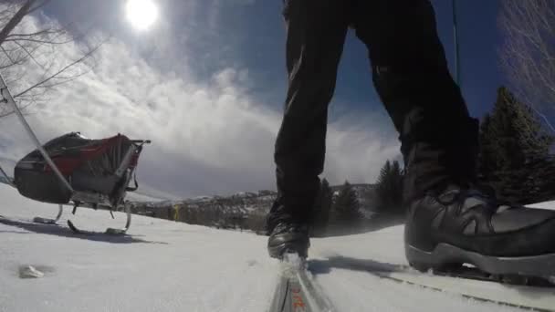 Семейные лыжи — стоковое видео