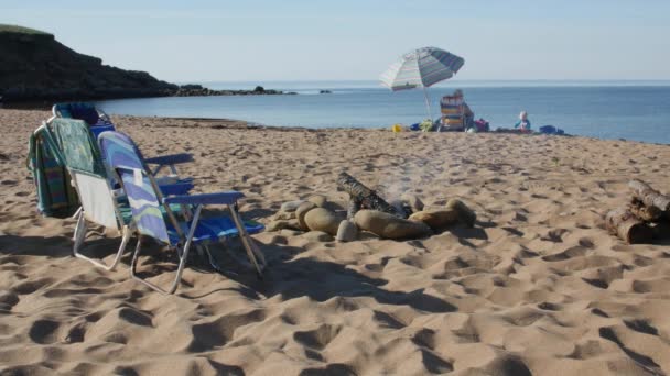 Una familia jugando en la playa y asando perritos calientes — Vídeos de Stock