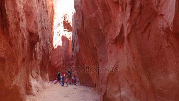 Caminhadas em família canyon slot no deserto — Vídeo de Stock