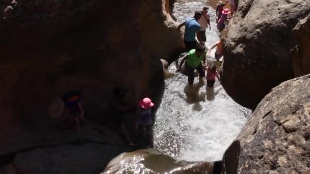 Família caminhadas cachoeira correndo pelo cânion — Vídeo de Stock