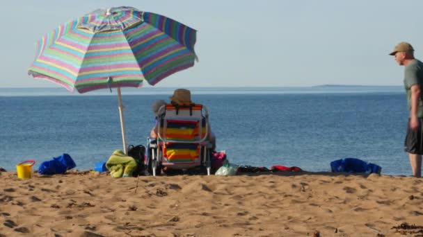 Familie sitzt unter Sonnenschirm am Strand — Stockvideo