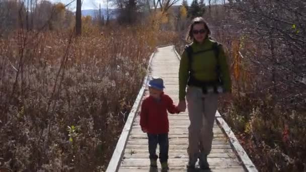 Family walking on boardwalk through botanical garden — Stock Video