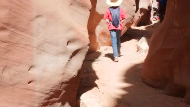 Familie wandelingen door woestijn canyon — Stockvideo