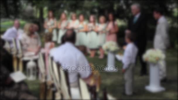 Pessoas comemorando durante uma cerimônia de casamento multirracial — Vídeo de Stock