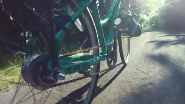 Vrouw fietsen in een forest op fietsweg — Stockvideo