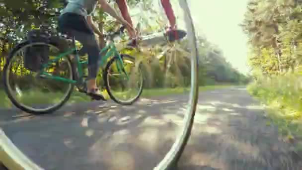森の中の自転車道で自転車に乗ってカップル — ストック動画