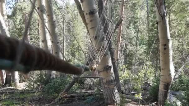 Ponte de macaco corda em um acampamento de escoteiros — Vídeo de Stock