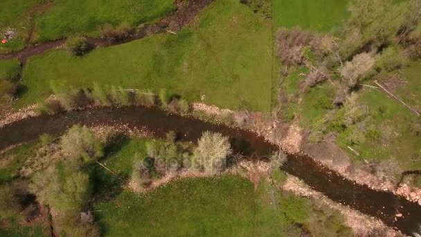 Река в зеленой весне — стоковое видео