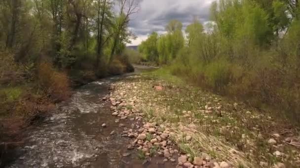 緑の春の川 — ストック動画